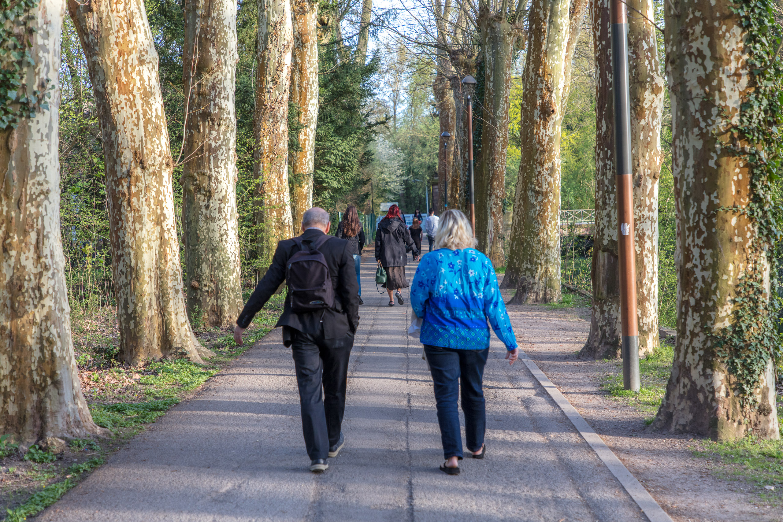 20180414190739 DP014968